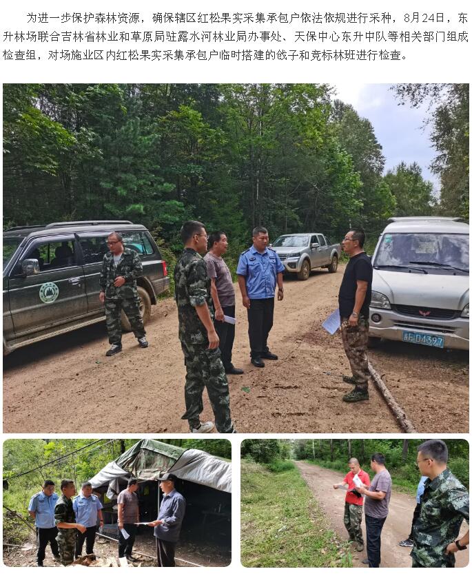 臥龍河林場最新交通新聞，臥龍河林場交通新聞更新