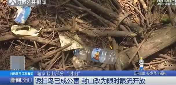 老山林場最新招聘信息及其相關內(nèi)容深度解析，老山林場最新招聘信息內(nèi)容深度解析及招聘動態(tài)速遞