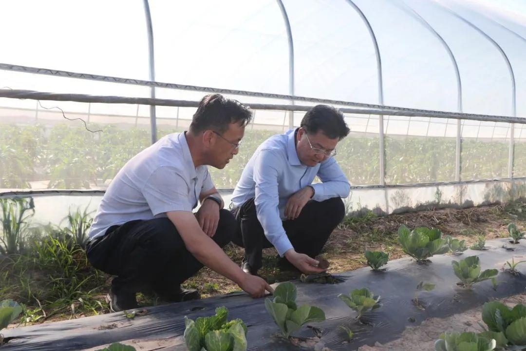 什川鄉(xiāng)最新發(fā)展規(guī)劃，走向繁榮與可持續(xù)的未來，什川鄉(xiāng)發(fā)展規(guī)劃揭秘，走向繁榮與可持續(xù)的未來之路