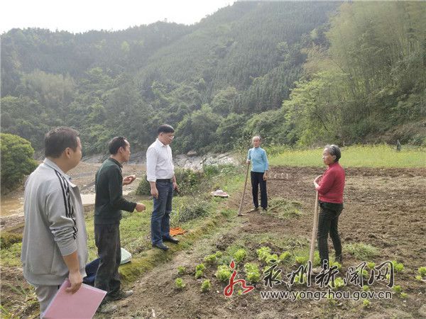 坡榮塘村最新新聞，坡榮塘村最新動態(tài)報道