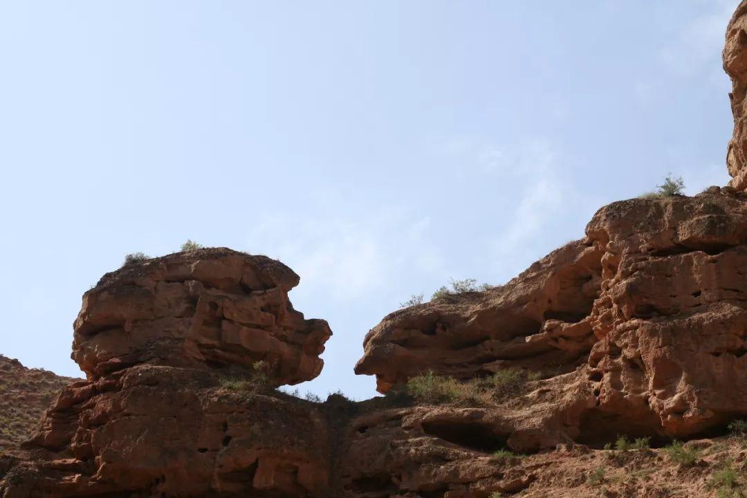 阿拉善右旗人力資源和社會保障局最新領(lǐng)導介紹，阿拉善右旗人社局最新領(lǐng)導介紹