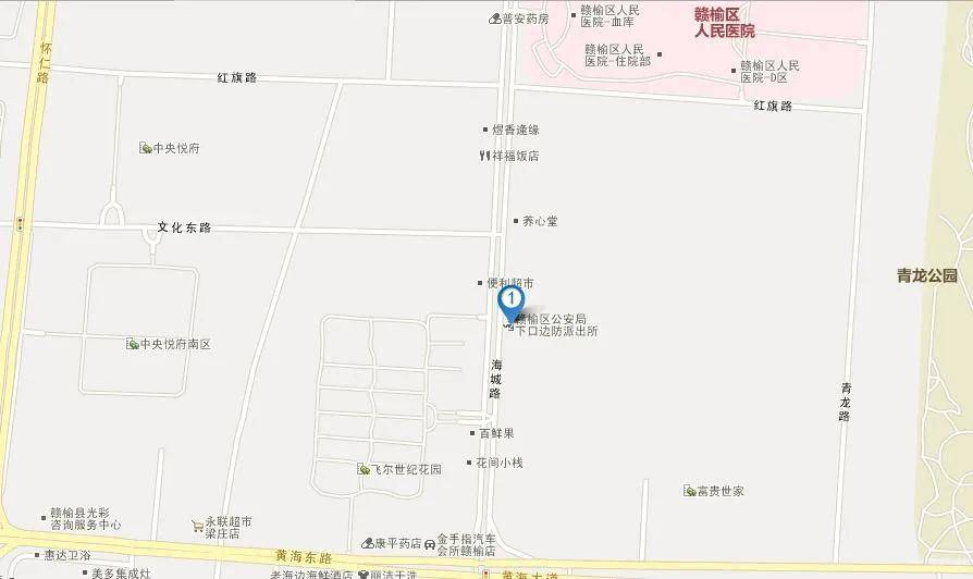 海興縣公安局最新發(fā)展規(guī)劃，打造現代化警務體系，提升社會綜合治理效能，海興縣公安局發(fā)展規(guī)劃，現代化警務體系構建與社會綜合治理效能提升