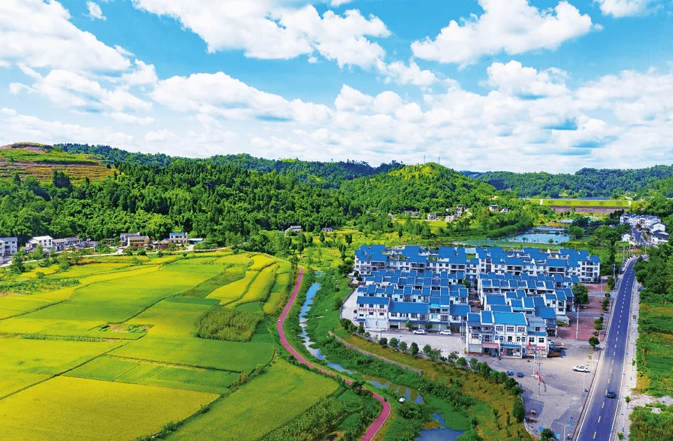 甸尾鄉(xiāng)蓮城最新新聞報(bào)道，甸尾鄉(xiāng)蓮城最新新聞動(dòng)態(tài)報(bào)道