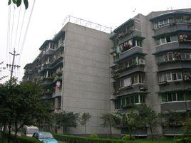 長(zhǎng)壽苑社區(qū)最新招聘信息概覽，長(zhǎng)壽苑社區(qū)最新招聘信息匯總