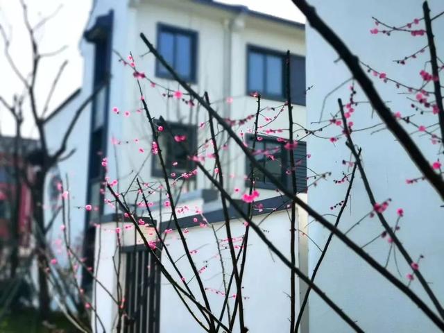 丁山村委會最新項目，引領(lǐng)鄉(xiāng)村發(fā)展的典范之作，丁山村委會典范項目，引領(lǐng)鄉(xiāng)村發(fā)展的領(lǐng)航者