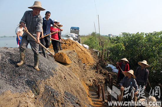 沙洋縣水利局最新項目，推動地方水資源管理與發(fā)展的前沿動態(tài)，沙洋縣水利局最新項目引領(lǐng)地方水資源管理與發(fā)展的前沿動態(tài)