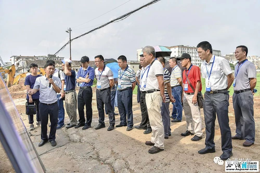 廉州鎮(zhèn)最新項(xiàng)目，引領(lǐng)地區(qū)發(fā)展的前沿力量，廉州鎮(zhèn)最新項(xiàng)目，地區(qū)發(fā)展的先鋒力量