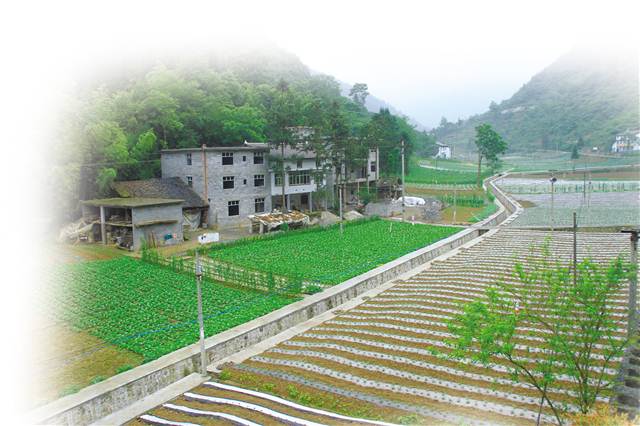 切勤村最新項(xiàng)目，引領(lǐng)鄉(xiāng)村發(fā)展的璀璨明珠，切勤村最新項(xiàng)目，鄉(xiāng)村發(fā)展的璀璨明珠引領(lǐng)者