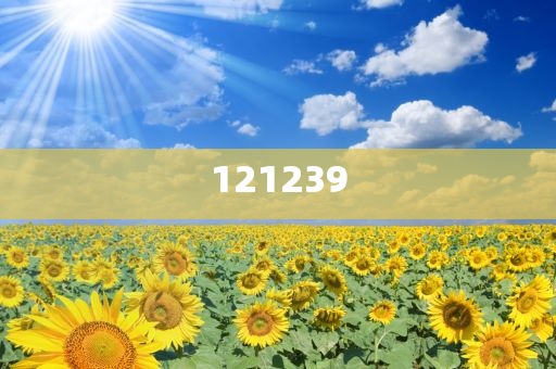 揭秘鳳凰網(wǎng)下的神秘管家婆，7777788888背后的故事，鳳凰網(wǎng)神秘管家婆揭秘，數(shù)字背后的故事 777778與888888的傳奇