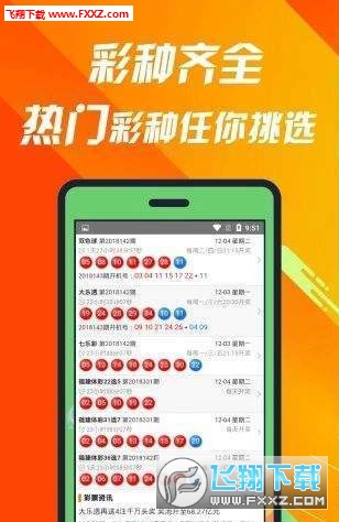 王中王493333中特大全，深度解析與SEO優(yōu)化策略，王中王493333中特大全，深度解析與SEO優(yōu)化策略指南