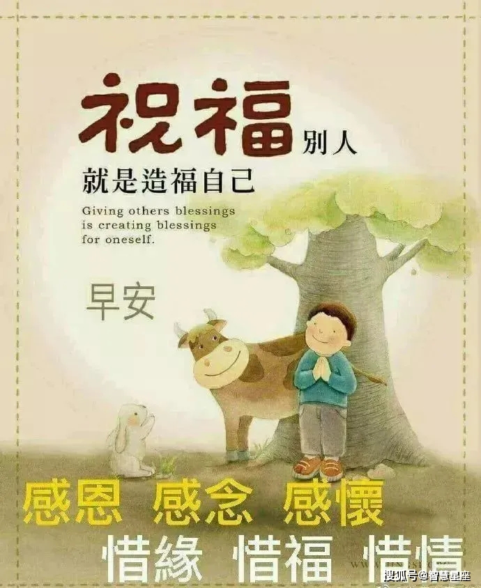 今晚9點30分的特馬，揭秘背后的秘密，揭秘今晚9點30分特馬的背后秘密