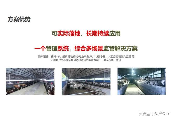 探索新澳芳草地，正版資料的免押之旅（2025年最新指南），新澳芳草地探索指南，正版資料免押，2025年最新版