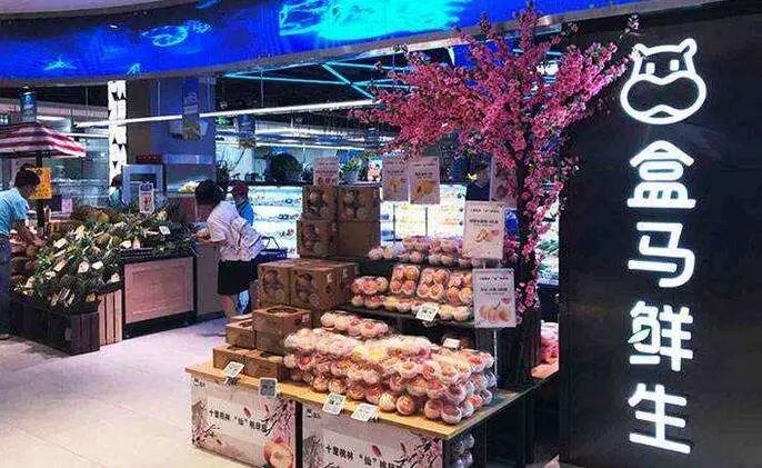 王中王493333中特馬特色，深度解析與SEO優(yōu)化，王中王493333中特馬特色深度解析與SEO優(yōu)化策略探討