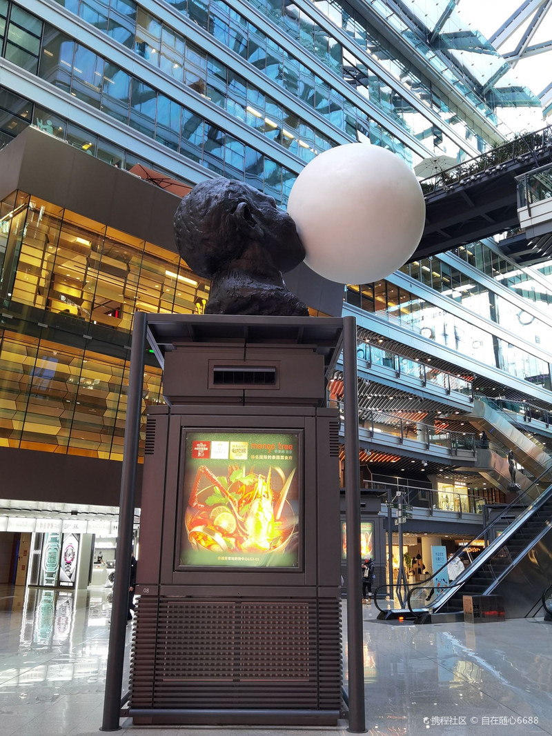 澳門芳草地官方網(wǎng)站，探索與體驗(yàn)，澳門芳草地官方網(wǎng)站，探索與體驗(yàn)之旅