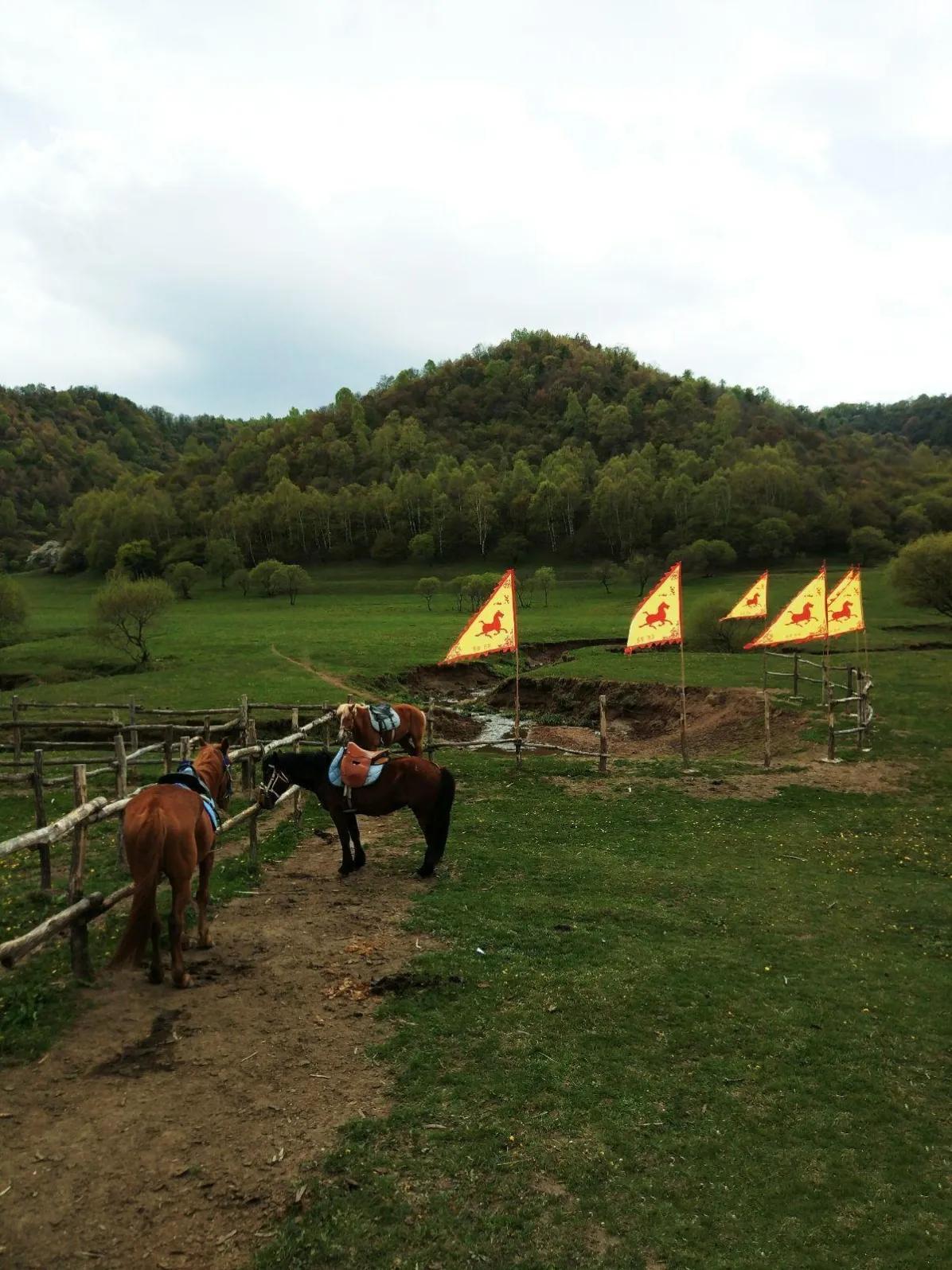 關(guān)山牧場(chǎng)自駕游攻略，探索自然之美，關(guān)山牧場(chǎng)自駕游攻略，探索自然魅力的絕佳之旅