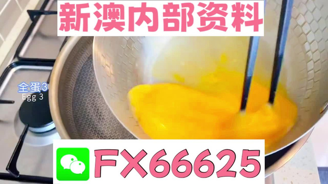 新澳一碼料，深度解析與SEO優(yōu)化策略，新澳一碼料深度解析與SEO優(yōu)化策略指南