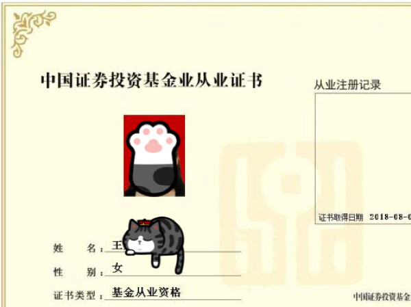 基金從業(yè)資格證官網(wǎng)，入門指南與考試資訊獲取全攻略，基金從業(yè)資格證官網(wǎng)，入門指南與考試資訊獲取攻略