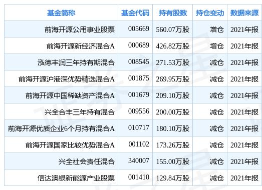 法拉電子股票，投資潛力與市場前景分析，法拉電子股票，投資潛力與市場前景深度解析
