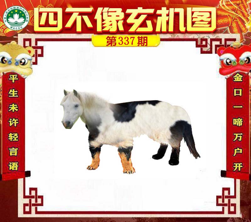 王中王一肖中特四不像，深度解析與探索，深度解析與探索，王中王一肖中特四不像