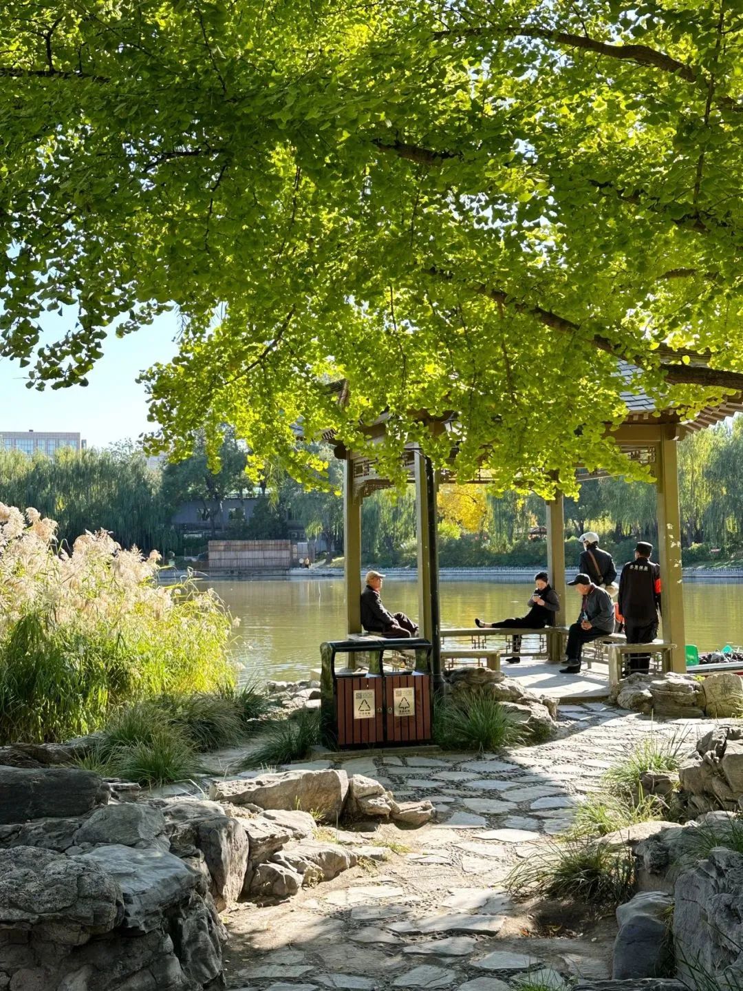 北京最值得逛的公園——探索自然之美與歷史之韻，北京公園探秘，自然之美與歷史之韻的絕佳體驗