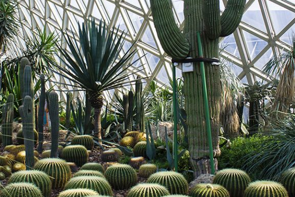 去植物園的最佳時(shí)間，季節(jié)、氣候與體驗(yàn)的綜合考量，植物園最佳游覽時(shí)間，季節(jié)、氣候與體驗(yàn)的綜合指南