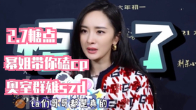 白姐王中王一肖網(wǎng)站，SEO優(yōu)化文章，白姐王中王一肖網(wǎng)站SEO優(yōu)化攻略