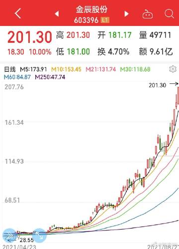 金辰股份股吧，深度解析與前景展望，金辰股份股吧，深度解析及前景展望