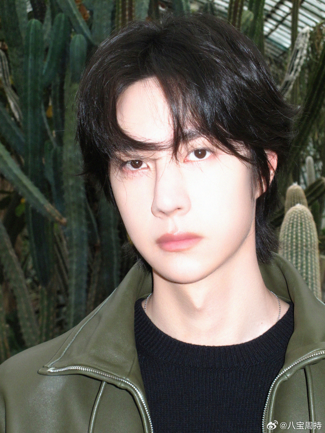 王中王一肖中特準(zhǔn)丶穩(wěn)，揭秘精準(zhǔn)預(yù)測(cè)背后的秘密，揭秘王中王精準(zhǔn)預(yù)測(cè)背后的秘密，一肖預(yù)測(cè)的穩(wěn)定性與秘密探究