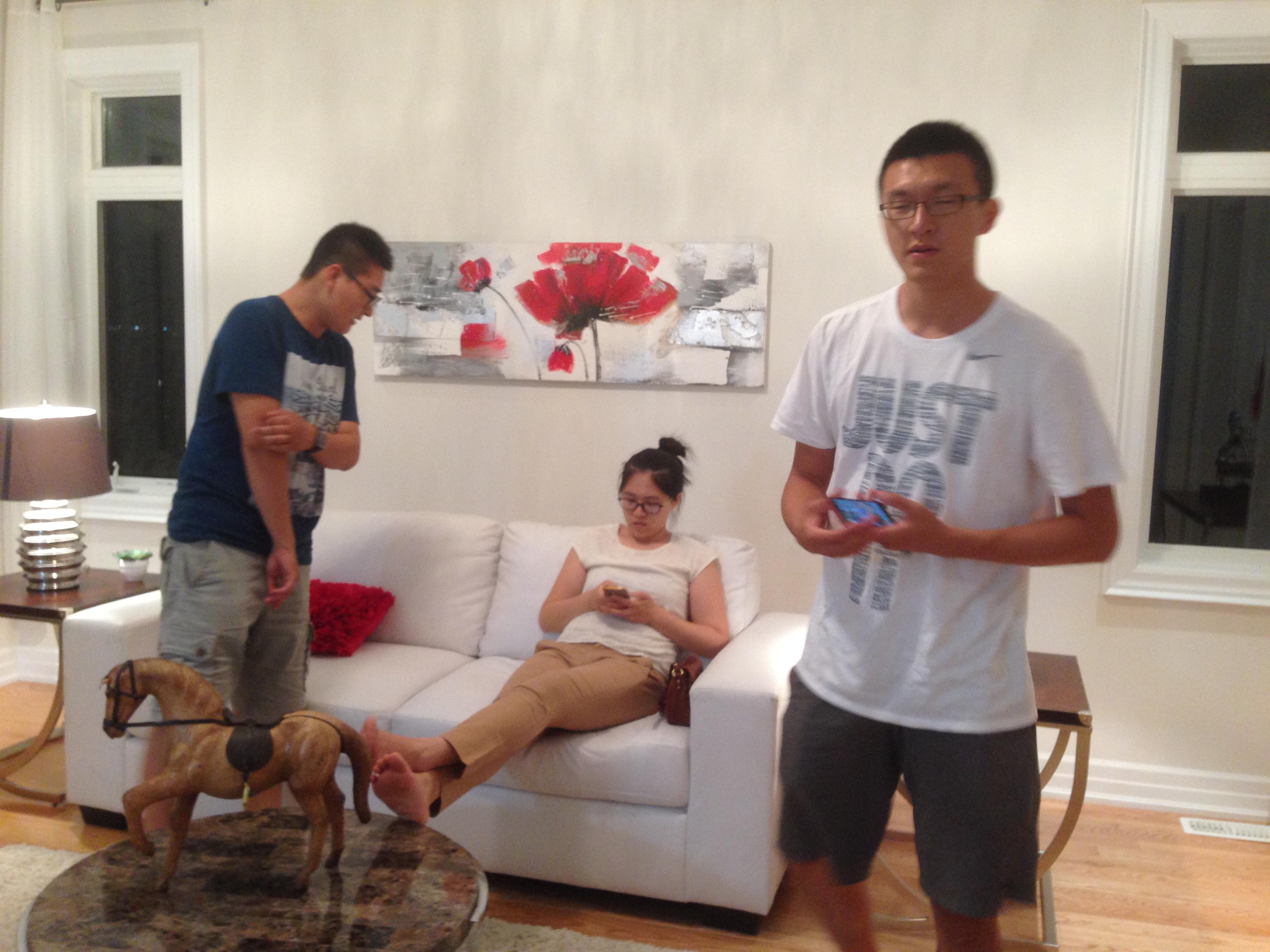 多倫多，探索一座多元文化融合的城市，多倫多，多元文化交融的城市探索