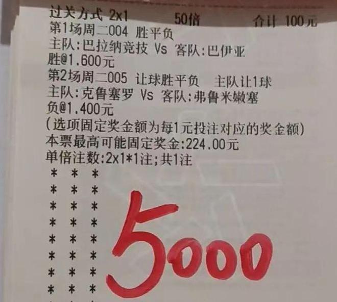 關(guān)于中一肖賠多少倍的全面解析，中一肖賠多少倍全面解析攻略