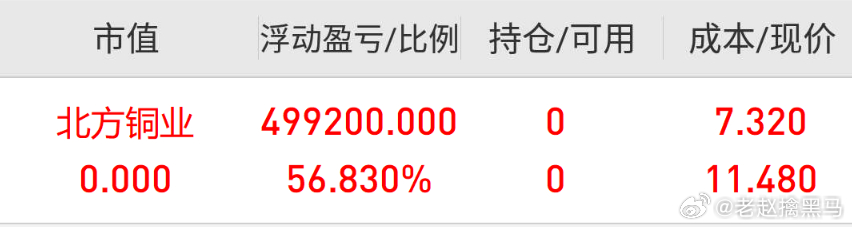 深度解析北方銅業(yè)股吧——代碼為000737的潛力股探討，北方銅業(yè)股吧深度解析，探討潛力股代碼000737的未來(lái)展望