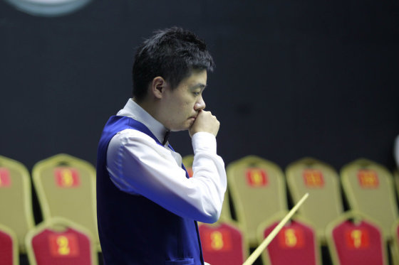 一肖牛特王中王選，探尋最佳選擇與SEO優(yōu)化之道，一肖牛特王中王選之秘，最佳選擇與SEO優(yōu)化策略揭秘