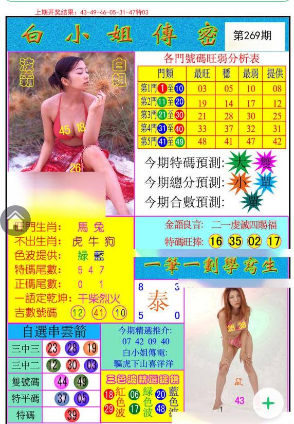 王中王白小姐四肖選一碼，揭秘背后的秘密與策略洞察，揭秘王中王白小姐四肖選一碼，策略洞察與秘密探索