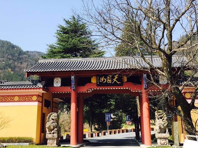 天目山風(fēng)景區(qū)，自然之美盡收眼底，天目山風(fēng)景區(qū)，自然之美的盡收眼底之旅