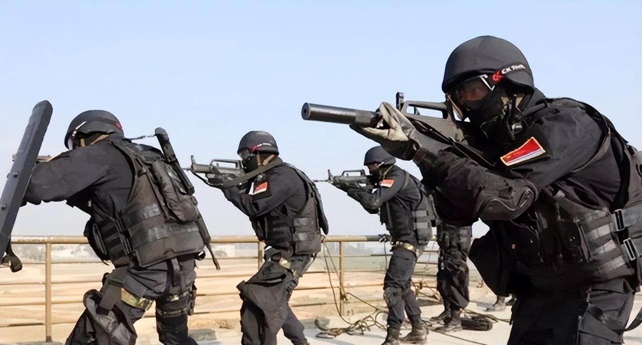 中國最厲害的特種部隊(duì)，實(shí)力與榮耀的展現(xiàn)，中國頂尖特種部隊(duì)，實(shí)力與榮耀的輝煌展現(xiàn)