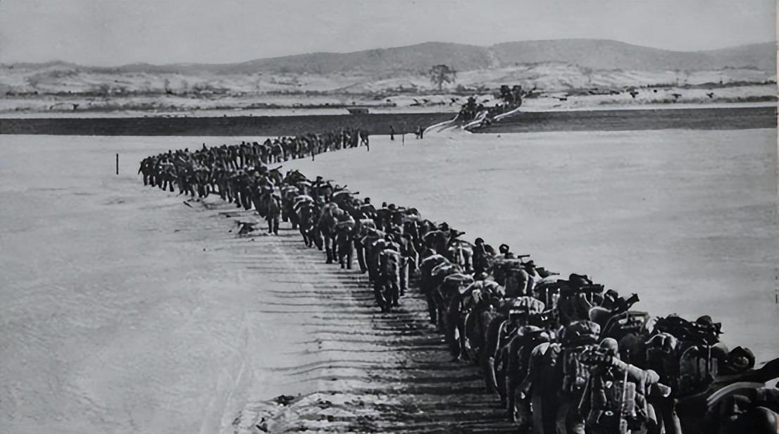 二四六天天免費(fèi)資料結(jié)果，探索與解析，二四六天天免費(fèi)資料結(jié)果探索與解析全揭秘