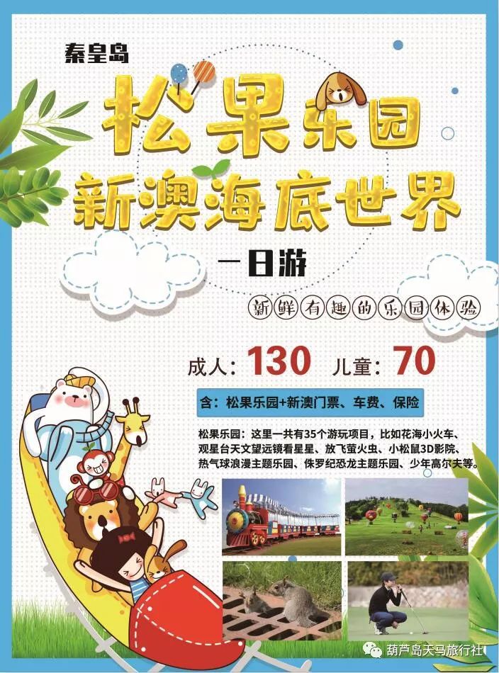 新澳天天開獎資料大全與旅游攻略，一站式體驗澳門的魅力，澳門新澳天天開獎資料大全與旅游指南，一站式體驗魅力澳門