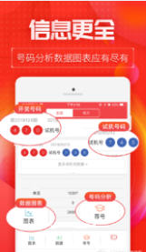 王中王一肖一特一期期中，深度解析與前景展望，王中王一肖一特一期期中深度解析與未來前景展望