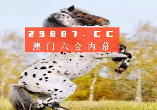 揭秘白小姐三碼三期必出一期真相，真相究竟如何？，揭秘白小姐三碼三期必出一期真相探秘，真相究竟何在？