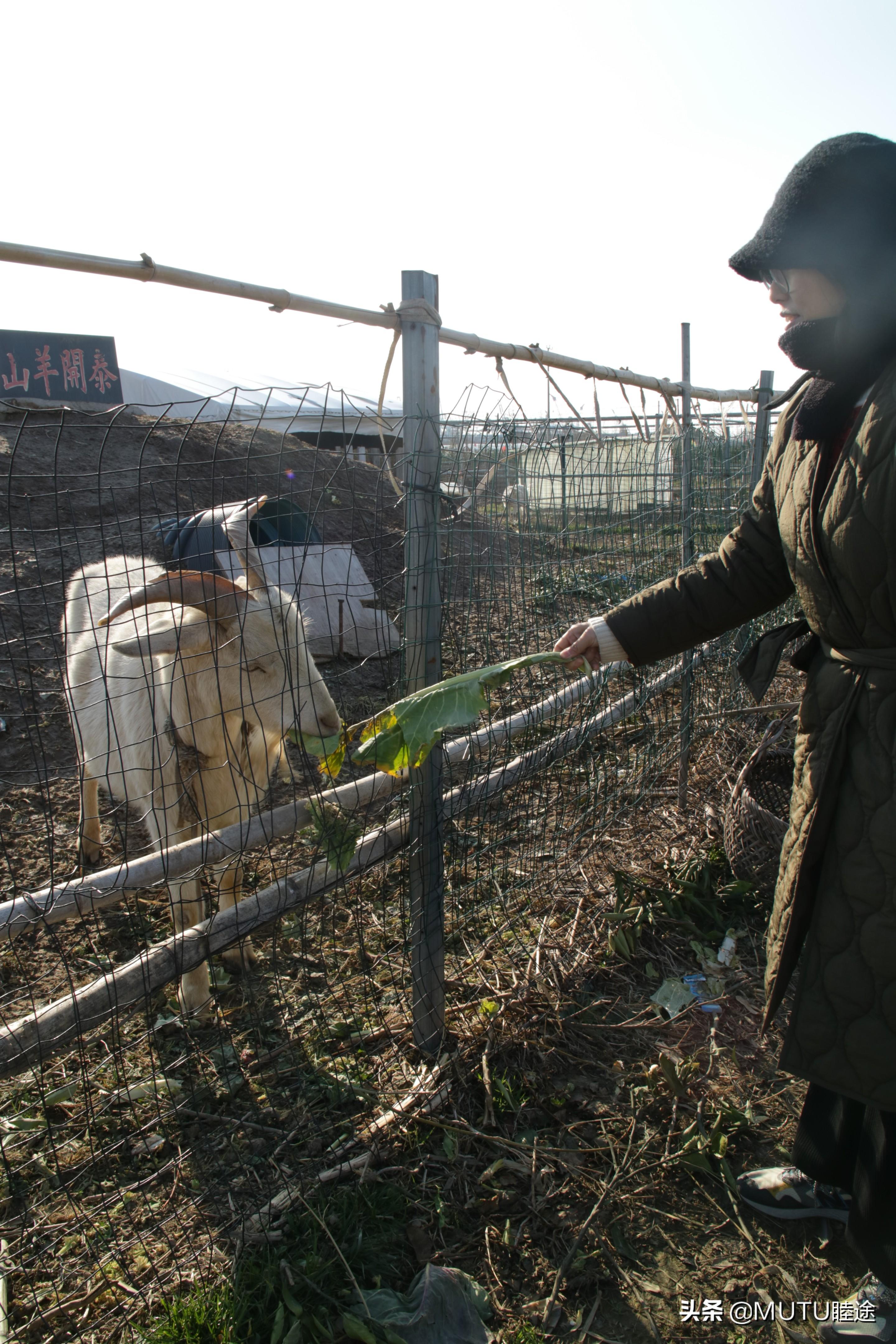 大連長興島旅游攻略，探索海島魅力，盡享自然美景，大連長興島旅游攻略，探索海島魅力，自然美景盡收眼底