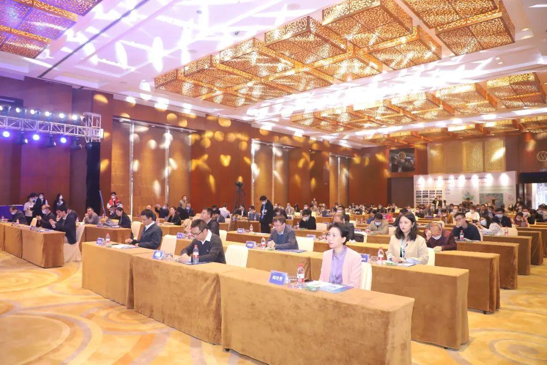 匯金科技，引領(lǐng)科技創(chuàng)新，塑造未來科技藍圖，匯金科技，引領(lǐng)創(chuàng)新，塑造未來科技愿景