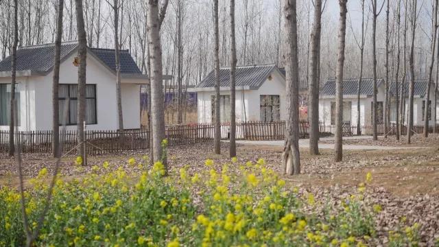 自然與文化魅力探索