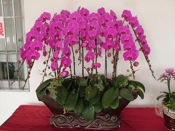 元成股份股吧，深度解析與前景展望，元成股份股吧深度解析及前景展望