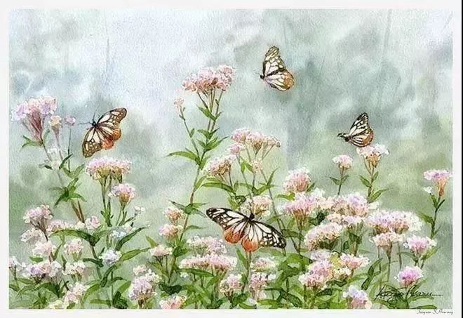 劉伯溫今晚打一生肖預(yù)測——揭秘神秘預(yù)言的真相，劉伯溫生肖預(yù)測揭秘，今晚預(yù)言中的神秘真相探索