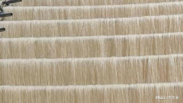 碼料，探索與優(yōu)化的SEO之路，碼料，探索與優(yōu)化SEO之路