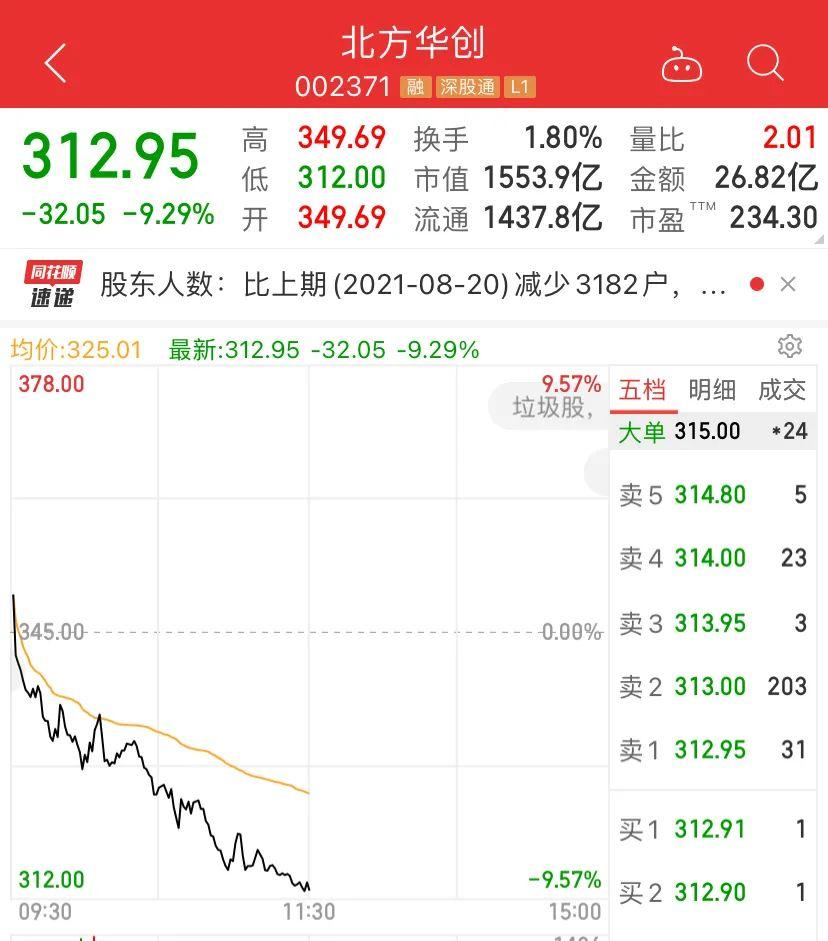 韋爾股份股票股，深度解析與前景展望，韋爾股份股票深度解析及前景展望