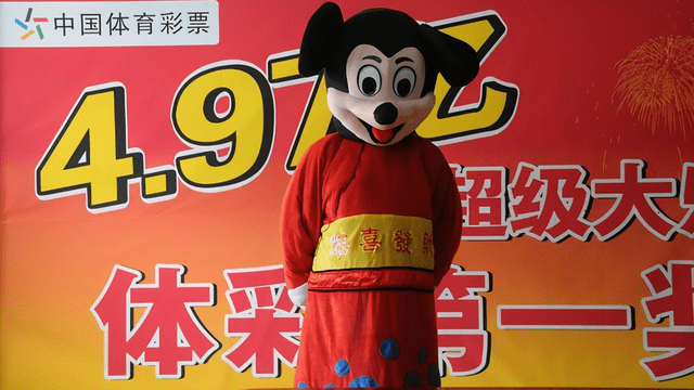 王中王04期指一生肖，揭秘背后的奧秘與意義，揭秘生肖奧秘，王中王生肖解析（第04期）