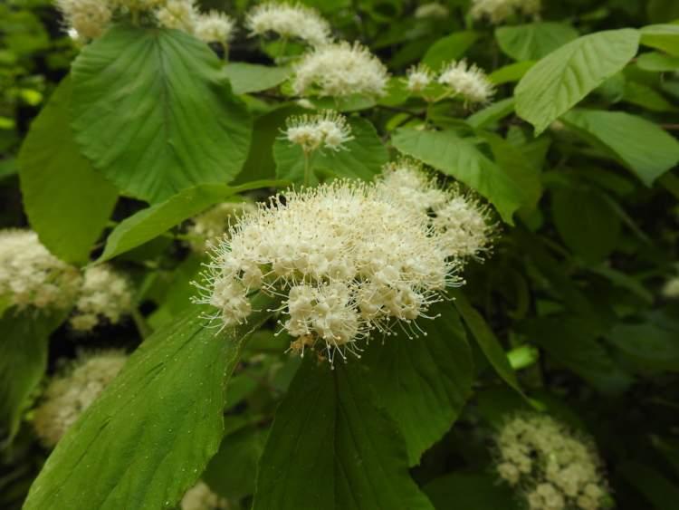上海兒童樂園排行榜，孩子們的最佳游樂場所，上海兒童樂園排行榜，孩子們的最佳游樂勝地