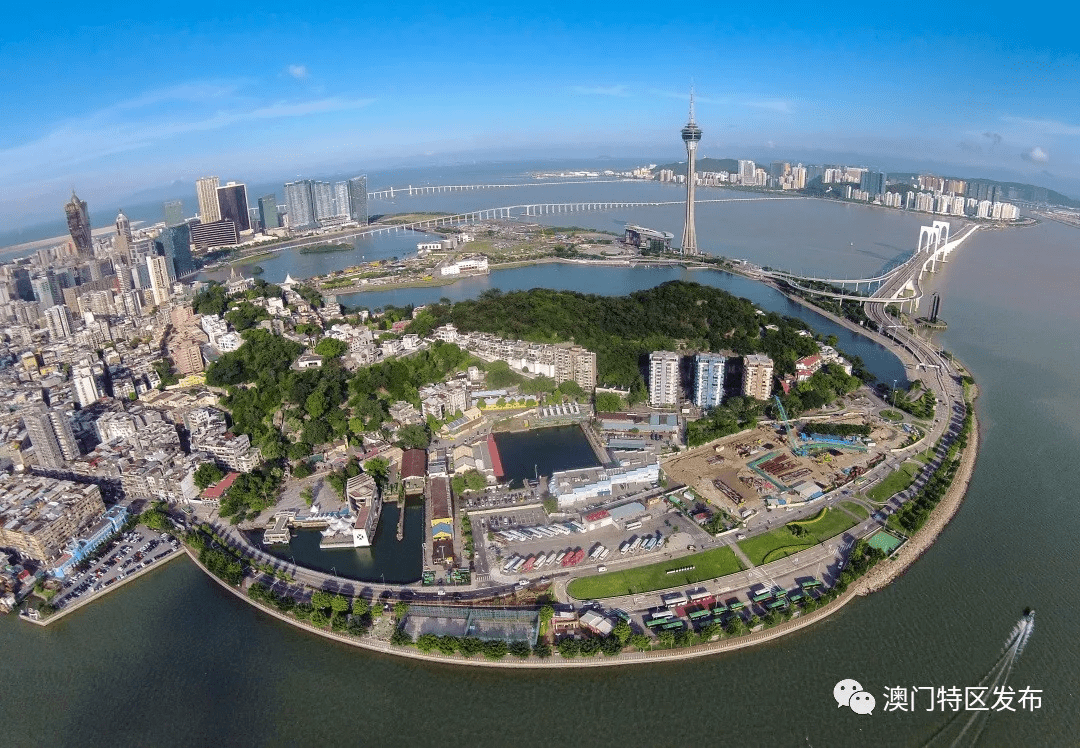 澳門六合開獎(jiǎng)記錄結(jié)果，深度分析與解讀，澳門六合開獎(jiǎng)記錄深度解讀與結(jié)果分析