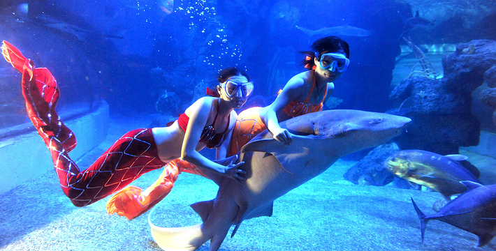 海底世界之旅，預(yù)約門(mén)票攻略大揭秘，海底世界之旅，預(yù)約門(mén)票攻略全解析